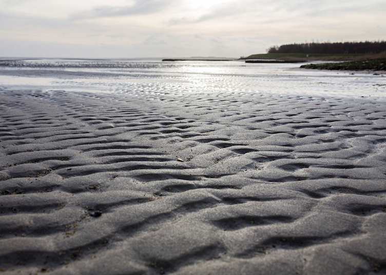 Sylt watt hike