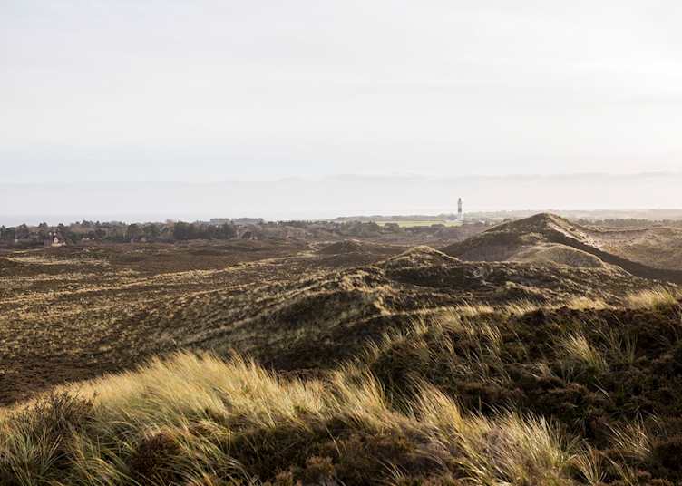 Sylt sand dunes
