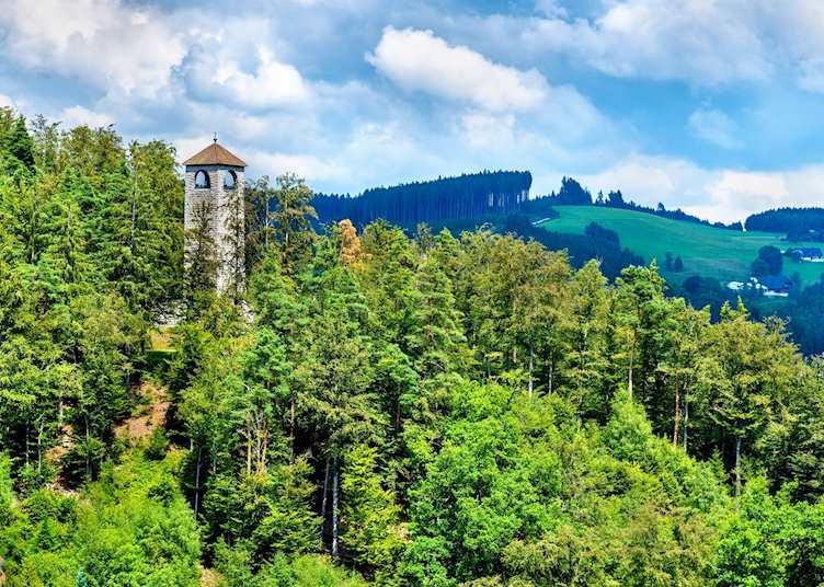 Triberg treetops