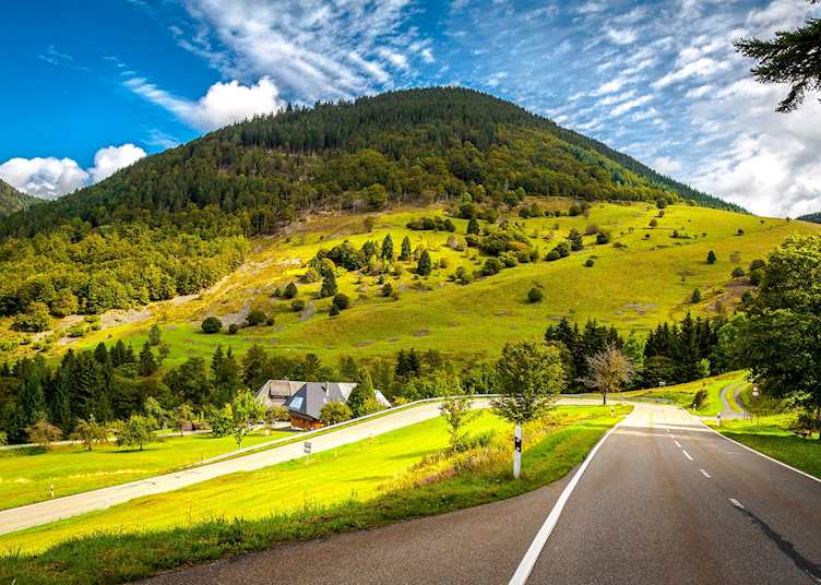 Road through the Black Forest farmland