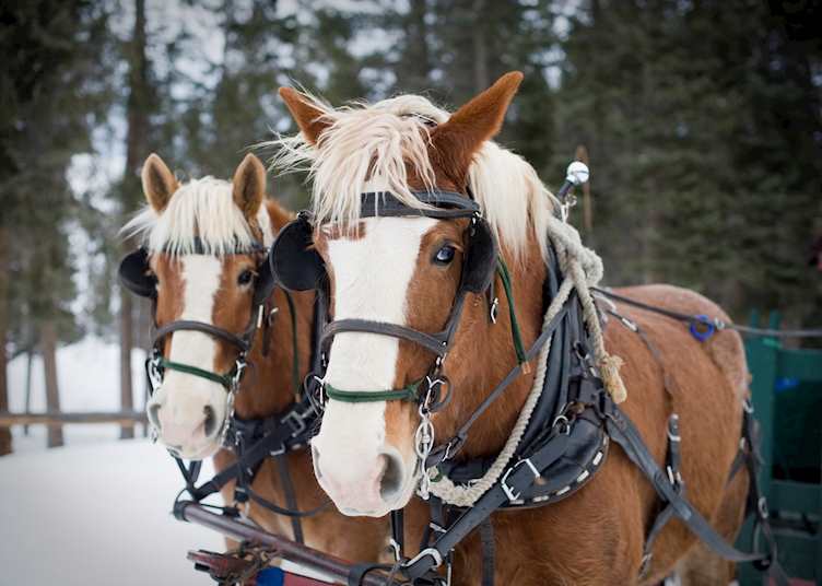 Winter at Lone Mountain Ranch