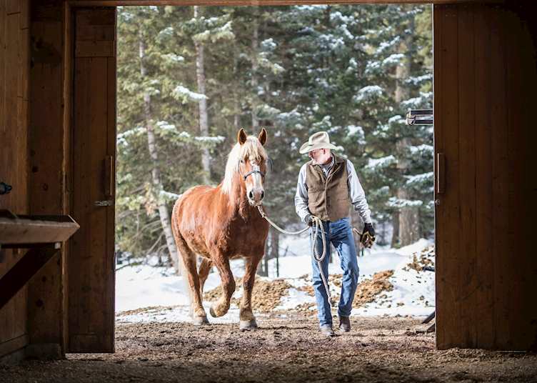 Wrangler at Lone Mountain Ranch