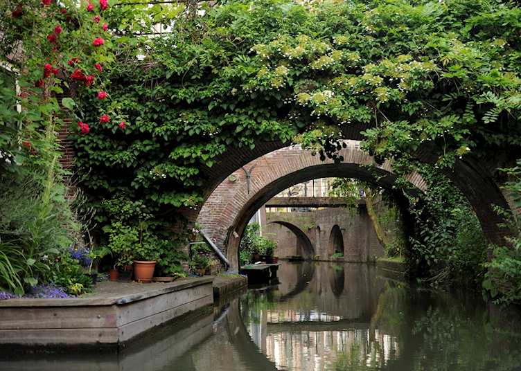 Tree-lined canals of Utrecht, Netherlands