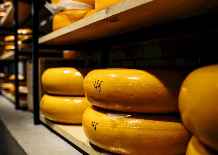 Gouda cheese, Amsterdam