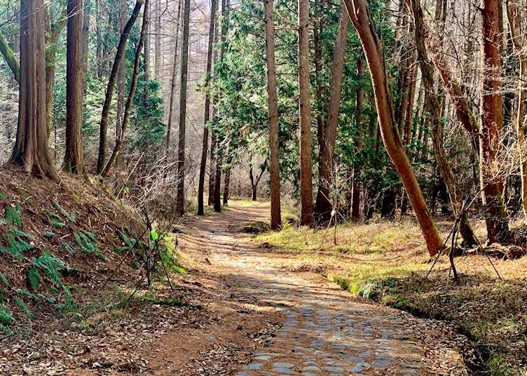 Walking the Nakasend Highway from Narai to Yabuhara, Kiso Valley