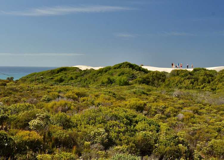 Fynbos landscapes near De Hoop Collection, De Hoop Nature Reserve