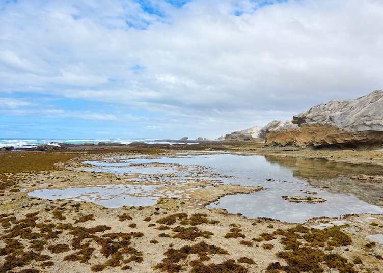 Exploring rock pools on the guided marine walk at De Hoop Collection, De Hoop Nature Reserve