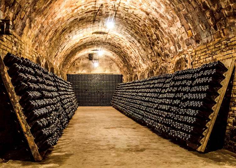 Champagne cellars