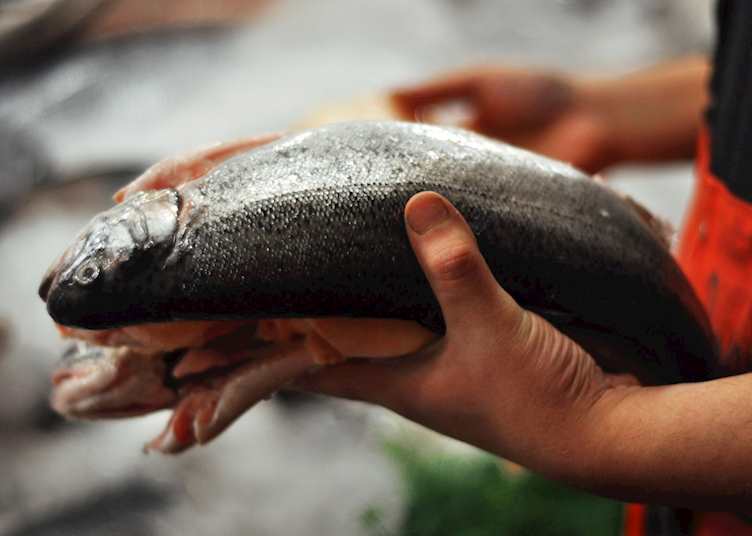 Fish at Pike Place Market, Seattle