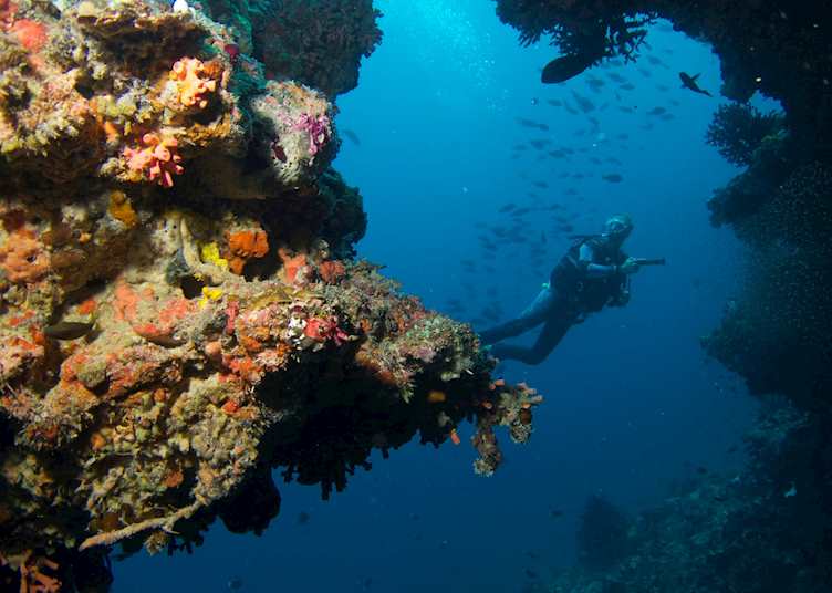 Diving at Baros Maldives