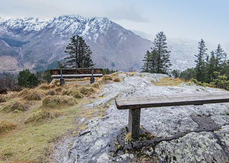 Hiking trail on Mount Fløyen