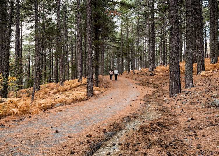 Hiking paths, Troodos Mountains