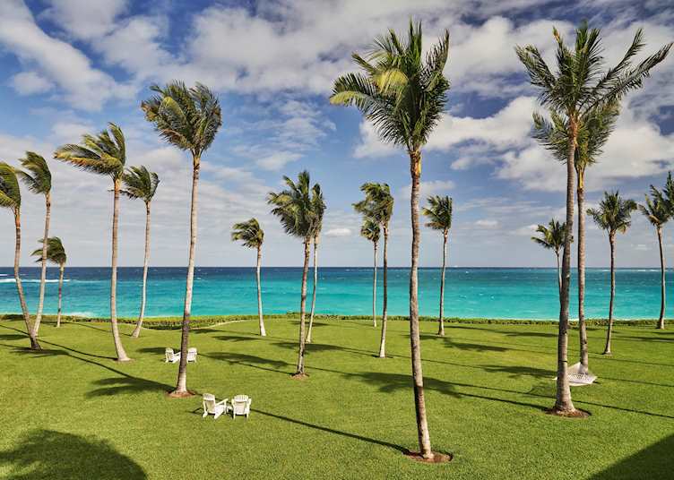 Oceanview from the lawn