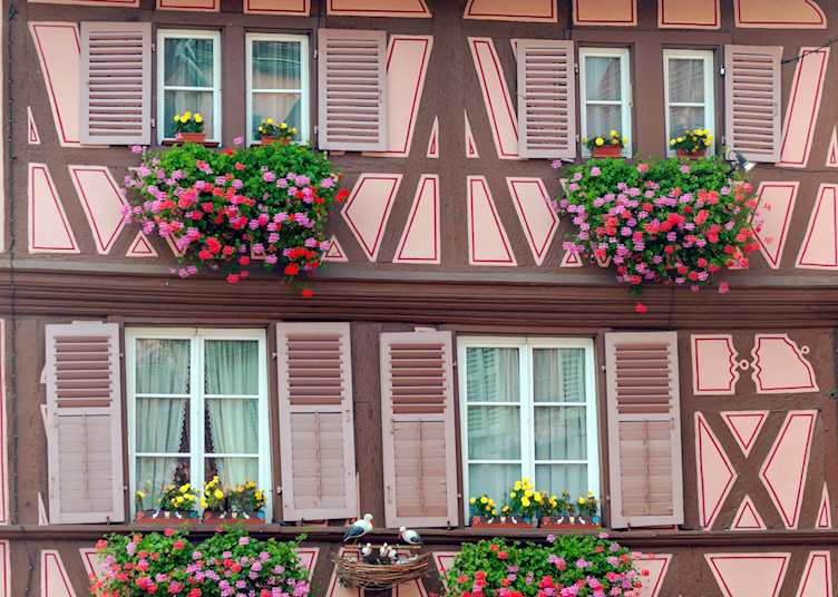 Floral windows of Alsace
