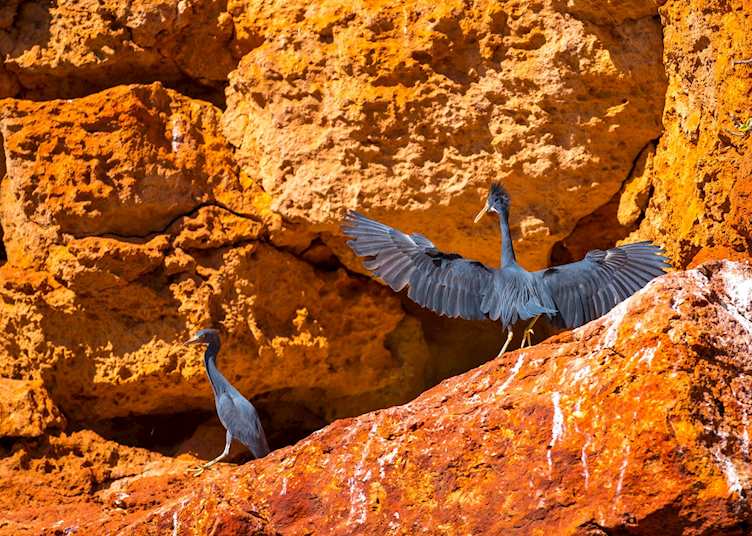 Yardie Creek, Cape Range National Park