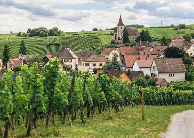 Vineyards of Alsace