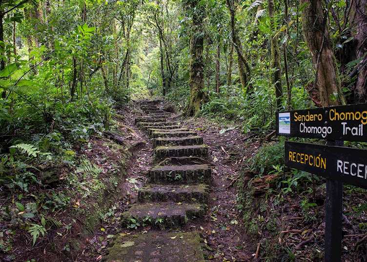 Monteverde Reserve, Monteverde Lodge & Gardens