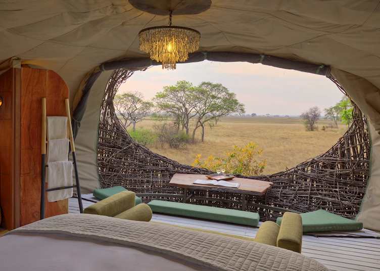 View from nest room, Chisa Busanga Camp