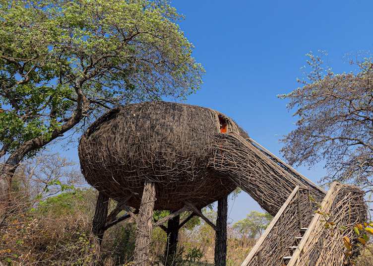 Nest exterior, Chisa Busanga Camp