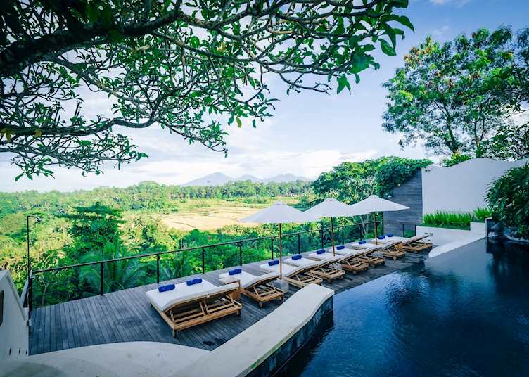 Pool with a view, Uma Kalai
