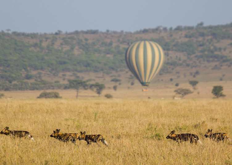 Ndutu Safari Lodge