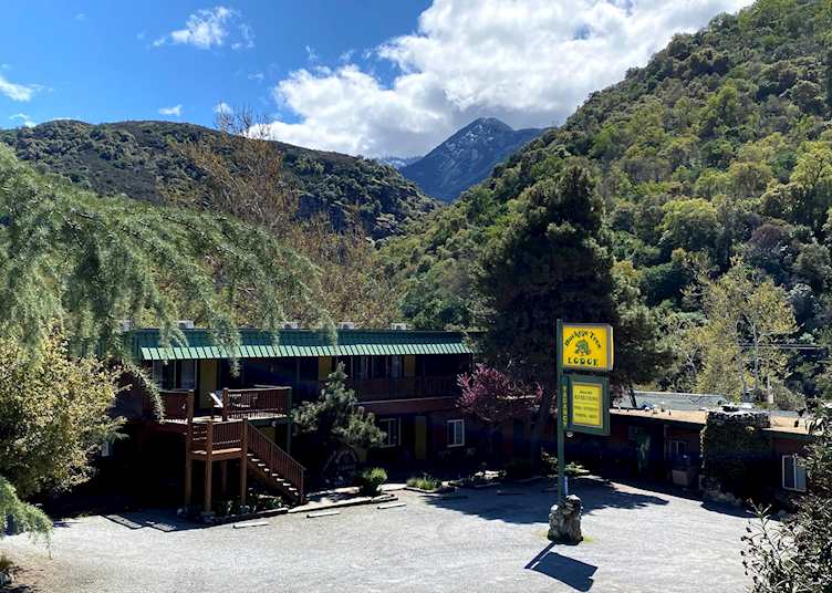 Buckeye Tree Lodge & Cabins