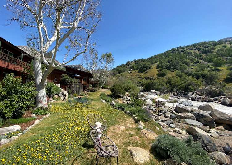 Buckeye Tree Lodge & Cabins