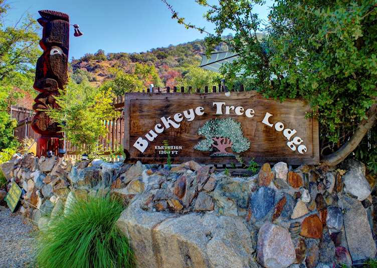 Buckeye Tree Lodge & Cabins