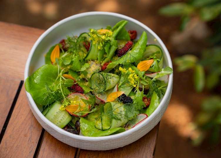 Sustainable dining at Jampa
