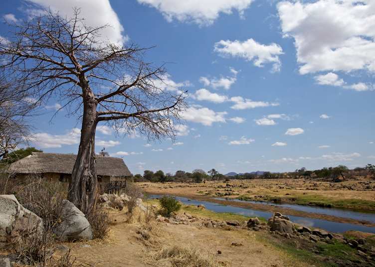 Ruaha River Lodge