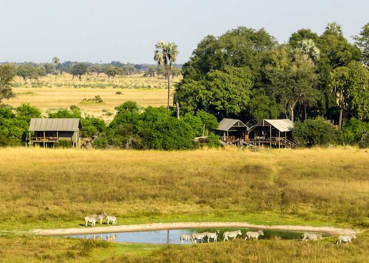 Mokolwane Camp