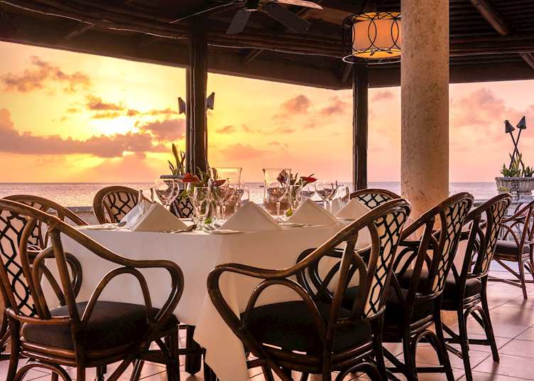 Coral Reef Club