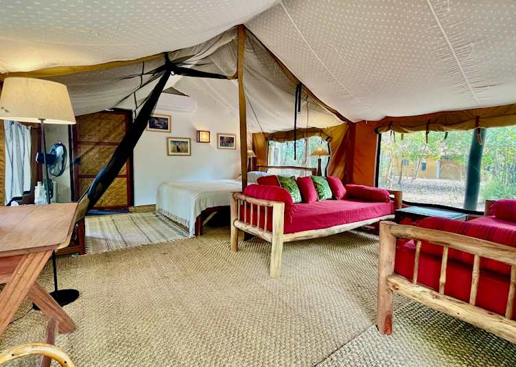 Family tent at Shergarh, Kanha National Park