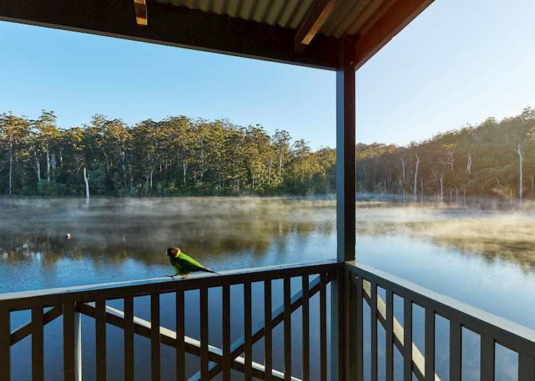 RAC Karri Valley Resort Balcony, Pemberton
