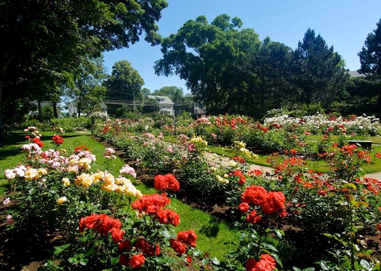 Annapolis Royal Historic Gardens, Nova Scotia