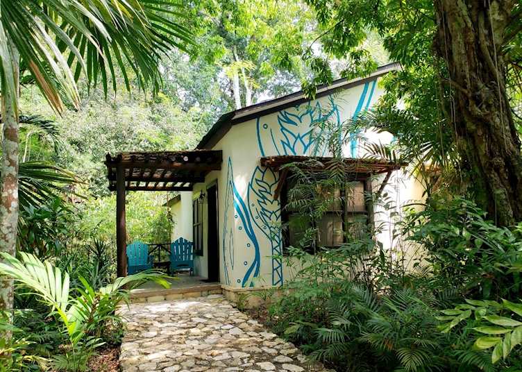Hotel Posada de la Selva