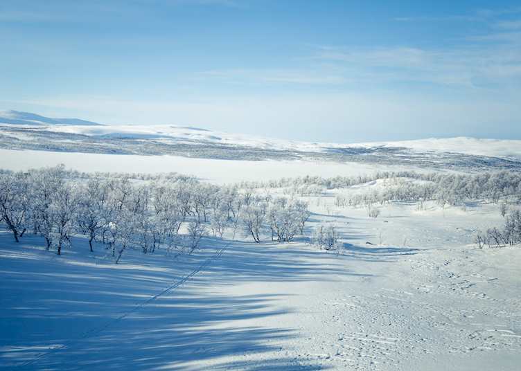 Finnmarksvidda, Alta Region