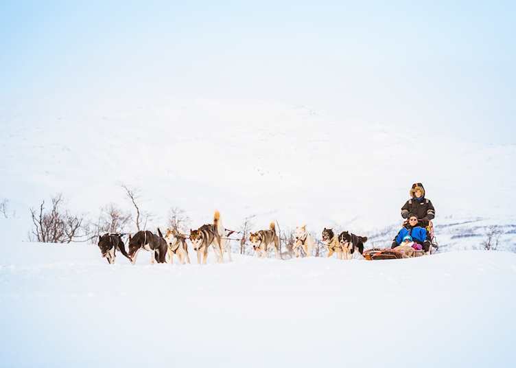 Husky sledding, Tromsø