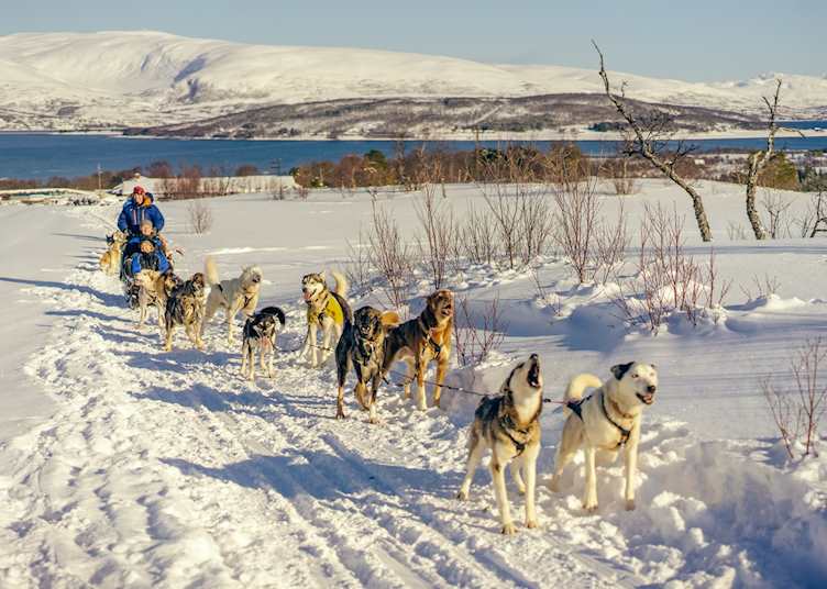 Husky sledding, Tromsø