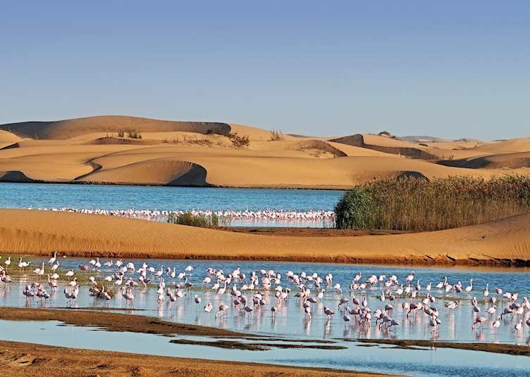 Pelican Point, Namibia