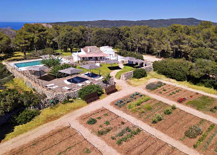 Country Club, Faustino Gran