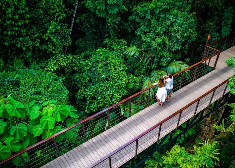Bridge, Nayara Gardens