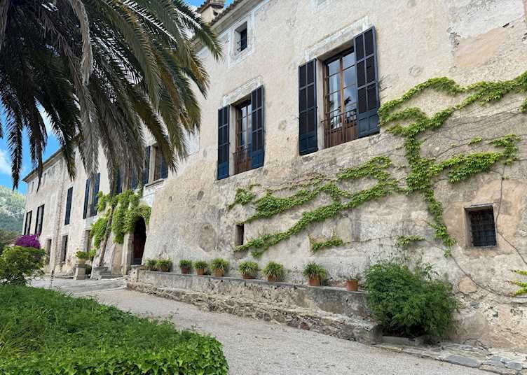 Local winery, Puigpunyent