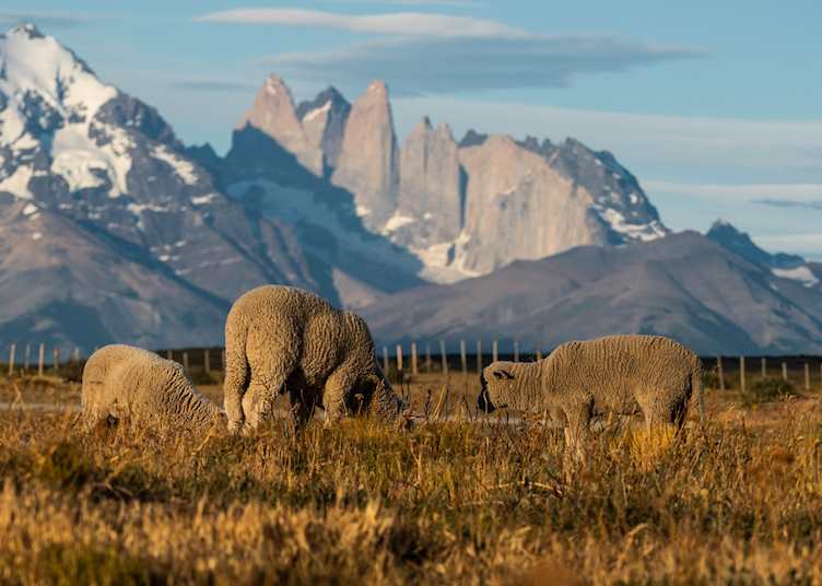 Grounds, Estancia Cerro Guido