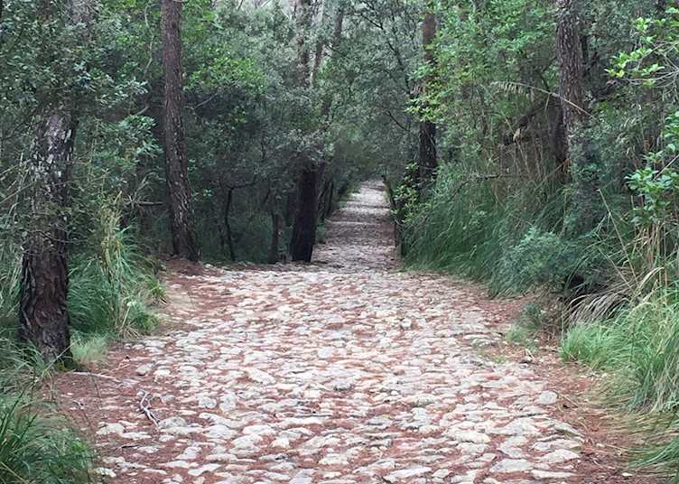 Cobblestone path hiking in Mallorca
