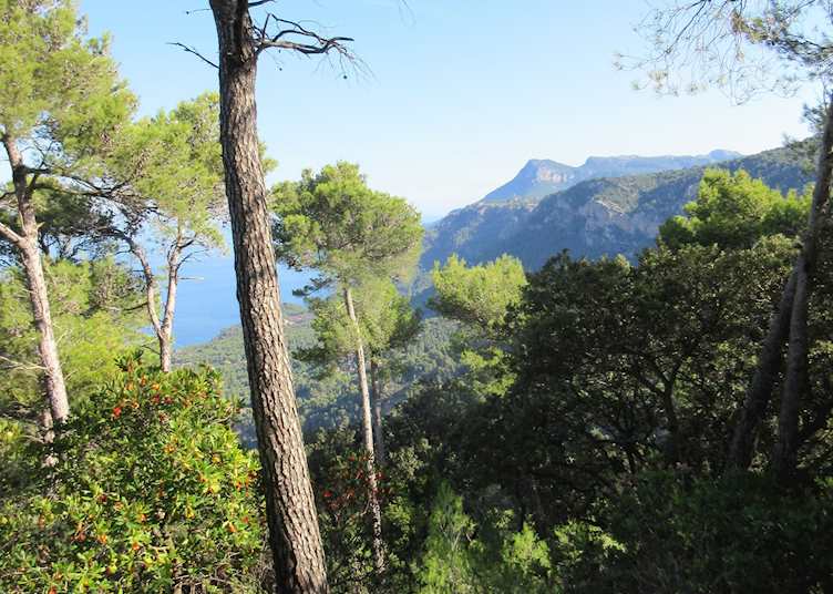 Scenic view hiking in Mallorca