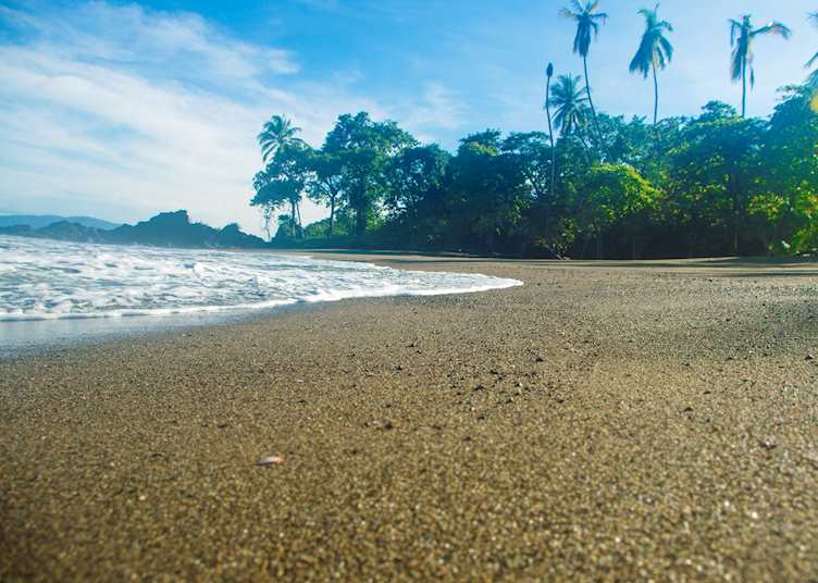 Beach, La Paloma Lodge