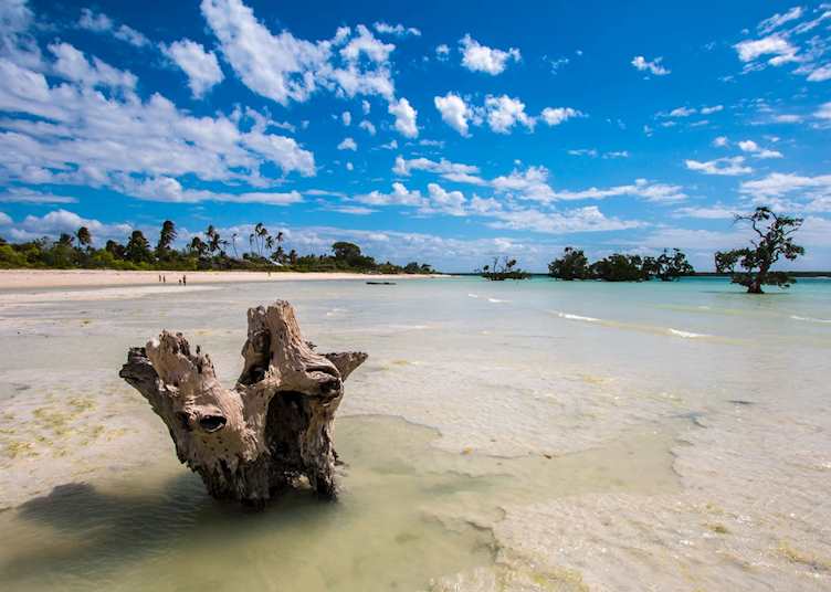 Sea off the Quirimbas Islands