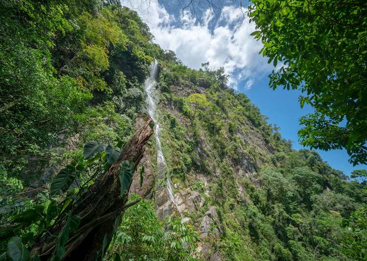 Waterfall in Pico Bonito National Park