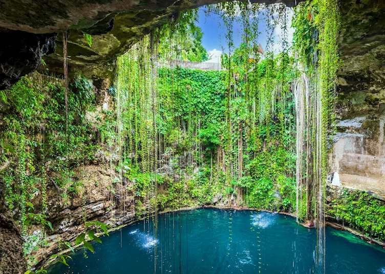  Cenote in the Yucatan Peninsula
